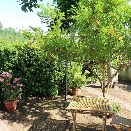 Bed and Breakfast Le Coste Veroli Exterior foto